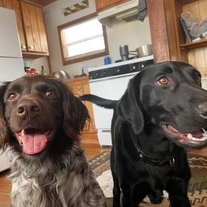 Meet your Posher, Monique